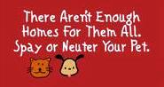 Spay or Neuter your pet!!