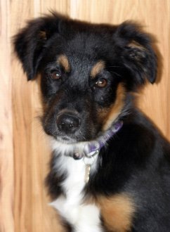 Photo of Kahne