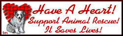 Support animal rescue!