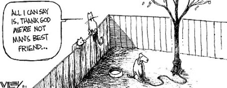 Stop abuse and neglect!!