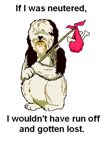 I'm a stray but I don't want to stay that way!