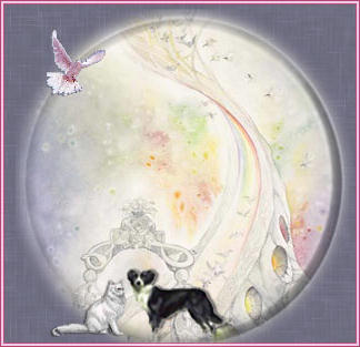 Going to The Rainbow Bridge