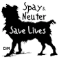 Save a life - Adopt a shelter dog!!